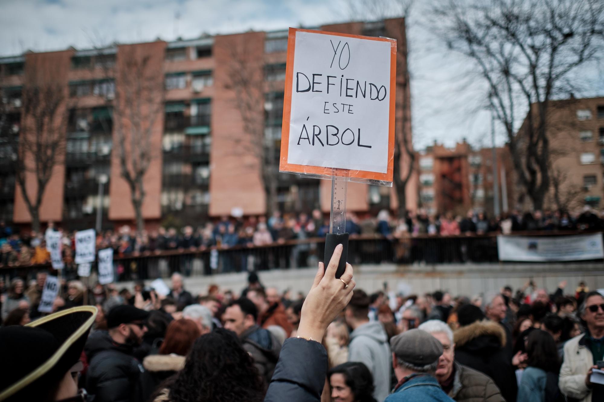 Defensa Arboles - 7